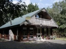 Lilly Lodge; nestled within the forest.