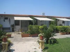 Tenuta Innocenzi