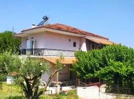 Anesis Home.