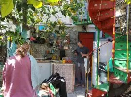 Lemon Tree Home