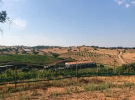 Herdade da Moringa