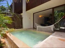 Luxury Villas in Aldea Zama
