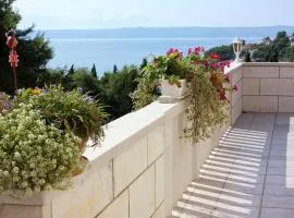 Apartments by the sea Sumartin, Brac - 4803