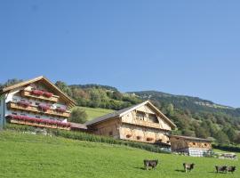 Oberbaumgartnerhof, hotel en Falzes