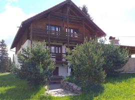 Alpesi kulcsos ház, vacation rental in Izvoru Mureşului