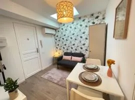 Nice Renting - FERSEN - 2 Rooms Vieil Antibes - AC - Safranier - Big Terrace