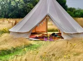 The Oaks Tent Pitches with no accommodation supplied and you must bring your own tent