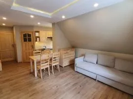 Apartament Orkisz