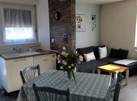 Appartement Au Cigogneau Wifi-Netflix-Balcon-Parking