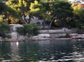 Apartments by the sea Necujam, Solta - 5186