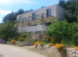 Apartments and rooms by the sea Cove Saplunara, Mljet - 4907