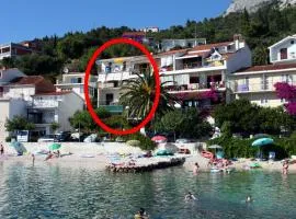 Apartments by the sea Podgora, Makarska - 6670