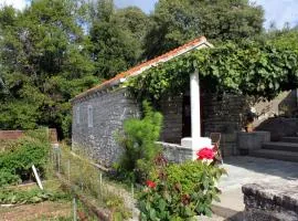 Holiday house with WiFi Zrnovo, Korcula - 4876