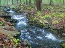 Romantic Pocono house - stream, lake, beach, pool, firepit