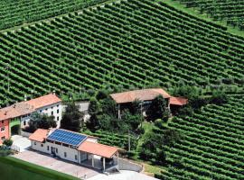 Casa Vacanze Ricca Vigna, allotjament vacacional a Valdobbiadene