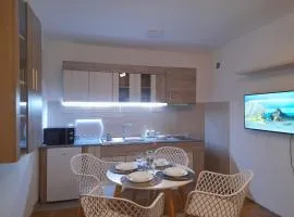 Apartman Stevan