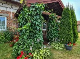 Domek Pod Mazurskim Lasem