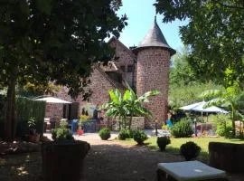 Piscine,jacuzzi,LUXE ,,clim,WiFi ,Collonges la rouge,moulin historique