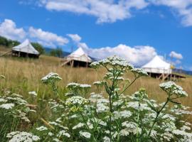 Nucsoara Glamping, tente de luxe à Nucşoara