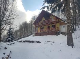 Cabana ''langa brad'', chalet i Cavnic