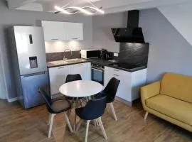 Appartement moderne entièrement rénové