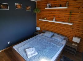 Apartament SIECHNICE