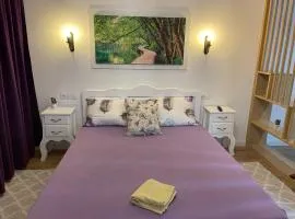Apartament Gabriela 39