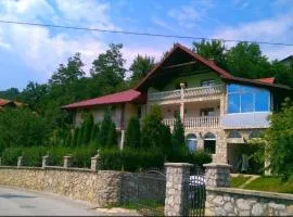 Vila Afan Ušivak