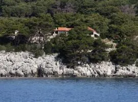 Apartments by the sea Cove Saplunara, Mljet - 4925