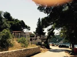 Apartments by the sea Cove Saplunara, Mljet - 4900