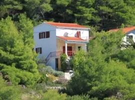 Apartments with parking space Rukavac, Vis - 8489