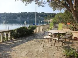 Apartments by the sea Rogac, Solta - 8688