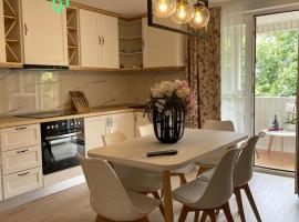 Chic Studio Maramures, khách sạn ở Vişeu de Sus