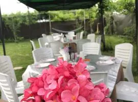 Къща за гости Рупите , Guest House Relax Rupite