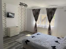 Dana Studio, apartamento em Tulcea