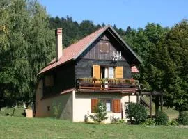 Family friendly house with a swimming pool Breze, Novi Vinodolski - 6920