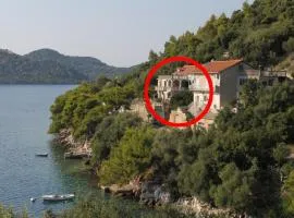 Apartments by the sea Ubli, Lastovo - 8344