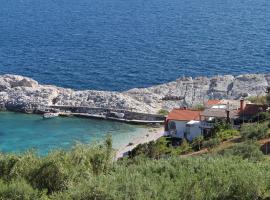 Apartments and rooms by the sea Cove Zarace - Dubovica, Hvar - 8781, guest house in Zarače