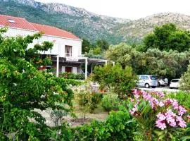 Apartments with a parking space Brsecine, Dubrovnik - 8548