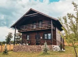 The Wooden Nest -Covasna