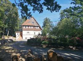 Strandhotel Lindequist, hôtel à Sellin