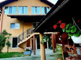 Casa Ostrov, pet-friendly hotel in Călimăneşti
