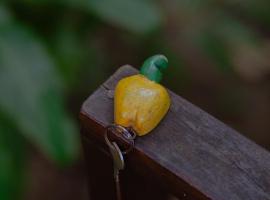 Quinta do Cajú, hotel u gradu Ilja de Boipeba