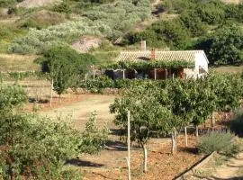 Secluded house with a parking space Podhumlje, Vis - 13984