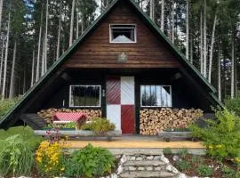Berghütte Waldheimat