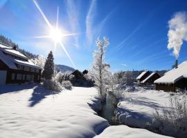 B5 Albmatte-FEWO Sauna, Hallenbad Außenbecken Massagen nebenan, ski resort in Menzenschwand-Hinterdorf