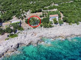 Apartments by the sea Dingac - Potocine, Peljesac - 10433, hotel in Potomje