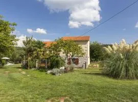 Holiday house with a parking space Mali Turini (Central Istria - Sredisnja Istra) - 14136