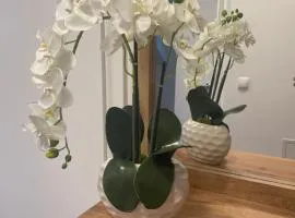 Sorinas Home - Comfortable Apartment near Graz - Free Parking