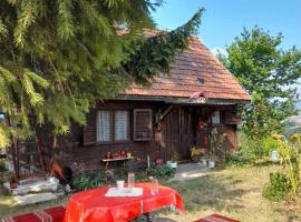 Kućica za odmor-Borova glava, hotel en Zlatibor